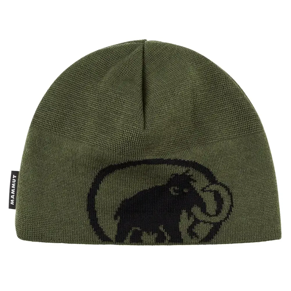 Čiapka Mammut Tweak Beanie 40294 dark marsh-black