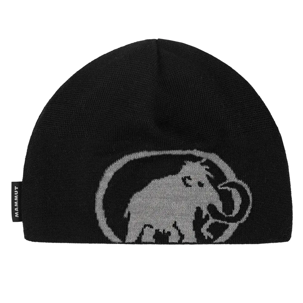 Čiapka Mammut Tweak Beanie black-steel-