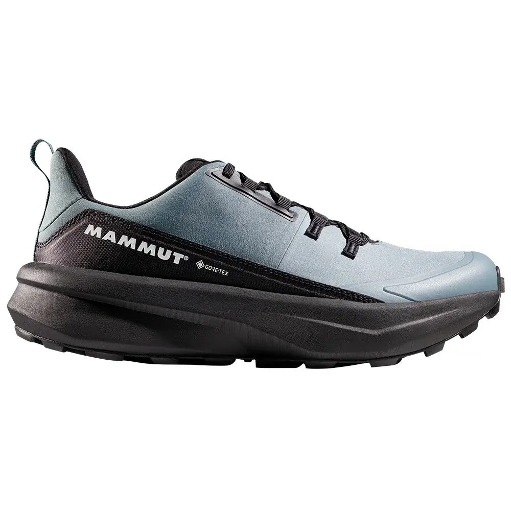 Pánske topánky Mammut Aenergy Hike Low GTX 00791 strata-black