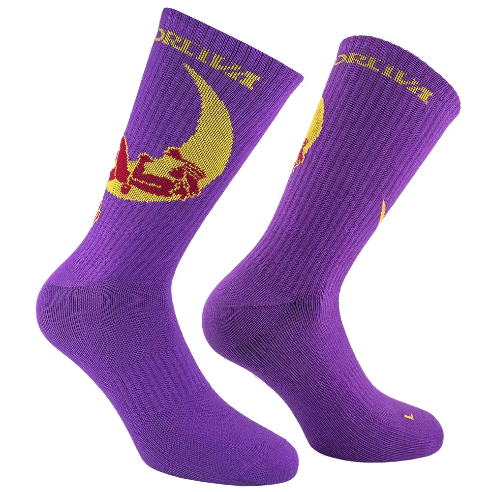 Pánske ponožky La Sportiva Climbing on the Moon purple/yellow