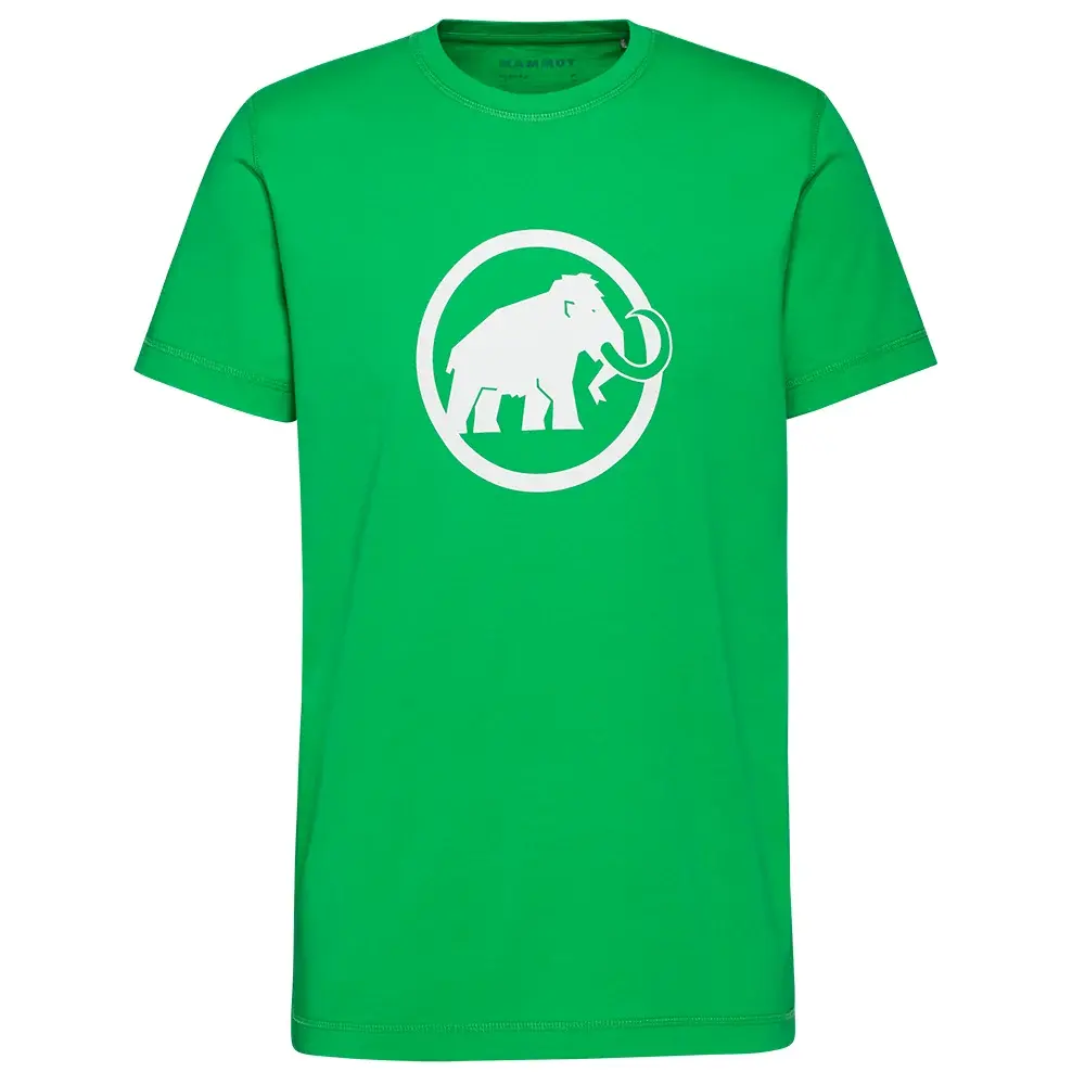 Pánske tričko Mammut Core T-Shirt Classic pinea