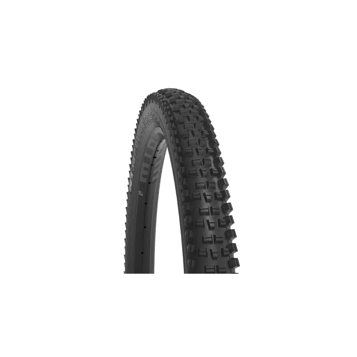 MTB plášť WTB Trail Boss 2.4 29" TCS Light Fast Rolling SG2 čierna