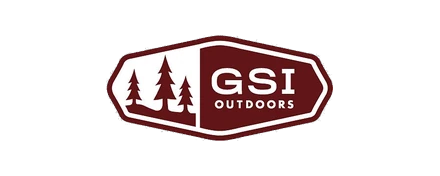 GSI